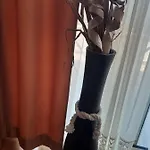 The One Apartment