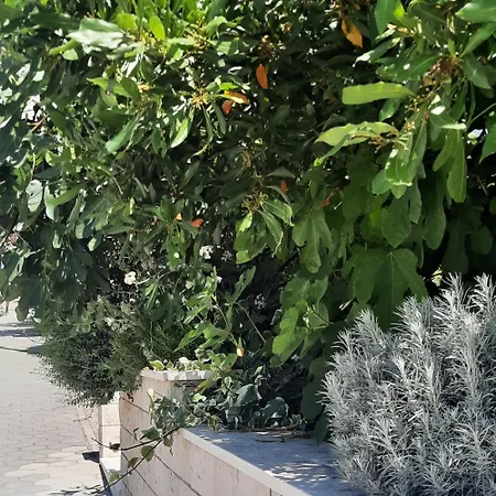 Lägenhet The One Baška Voda