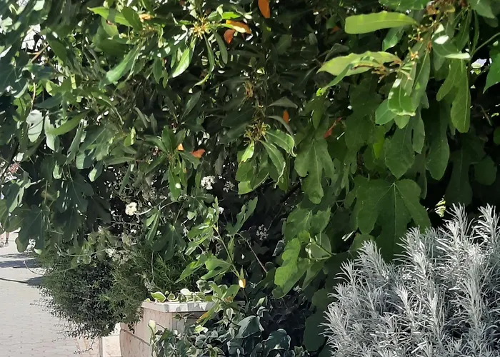 Apartmán The One Baška Voda